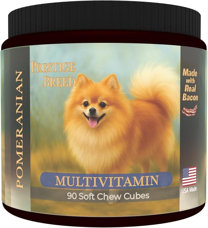 Pomeranian
