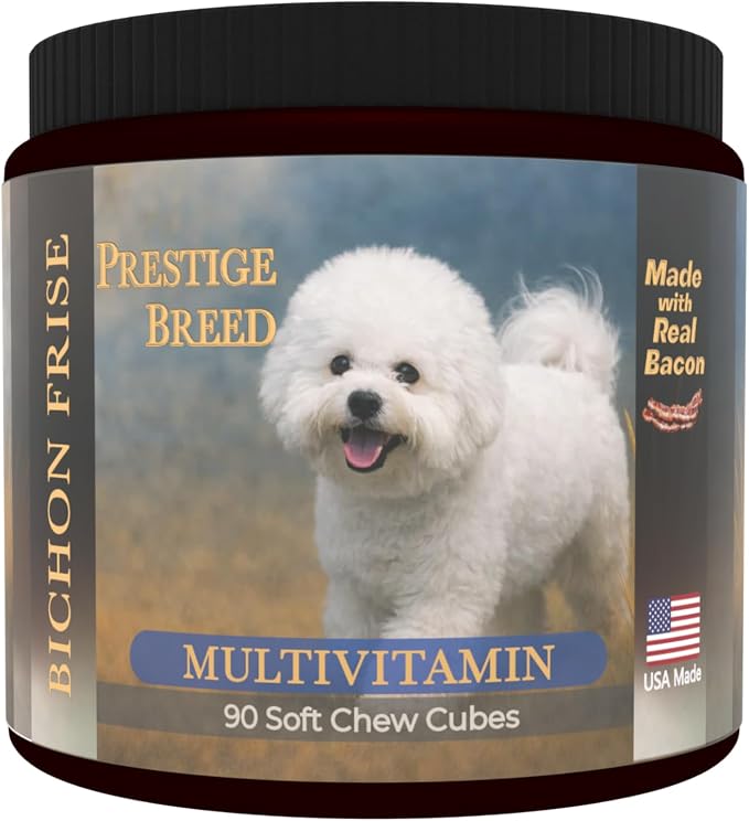 Bichon Frise