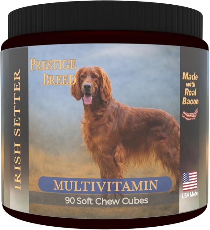 Irish Setter
