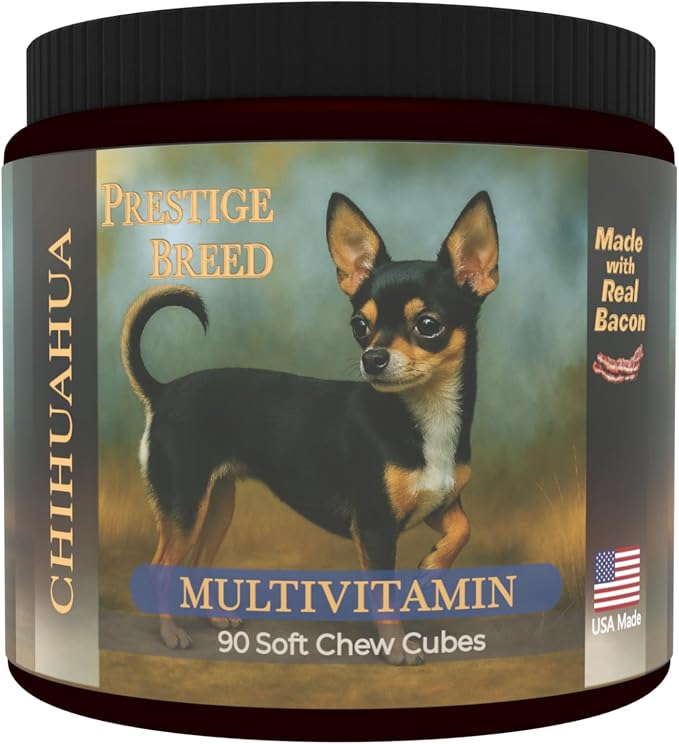 Chihuahua
