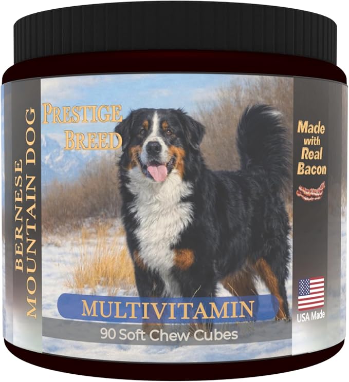 Bernese Mountain Dog