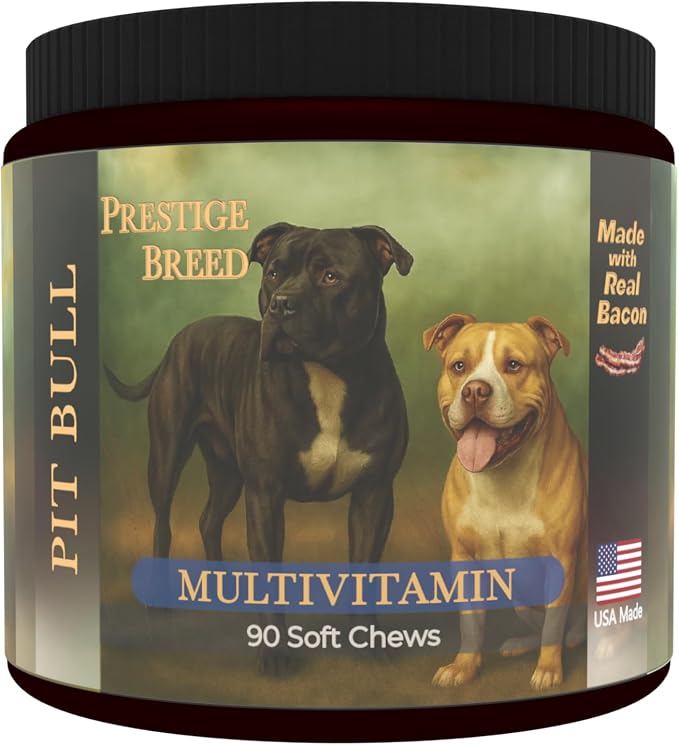 Pit Bull