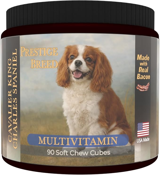 Cavalier King Charles Spaniel