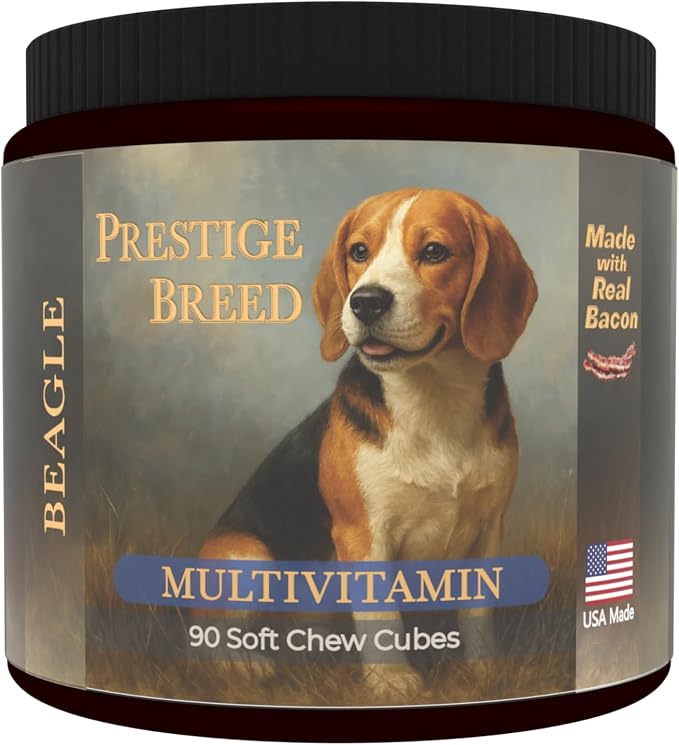 Beagle