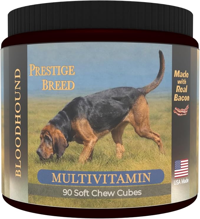 Bloodhound