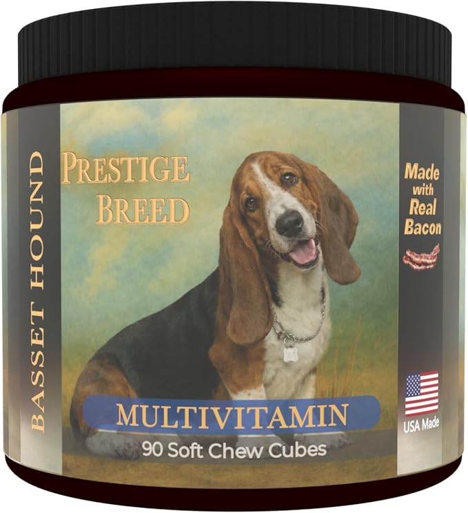 Basset Hound