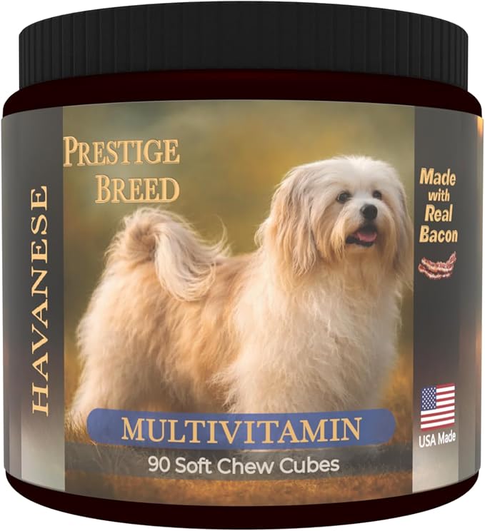 Havanese