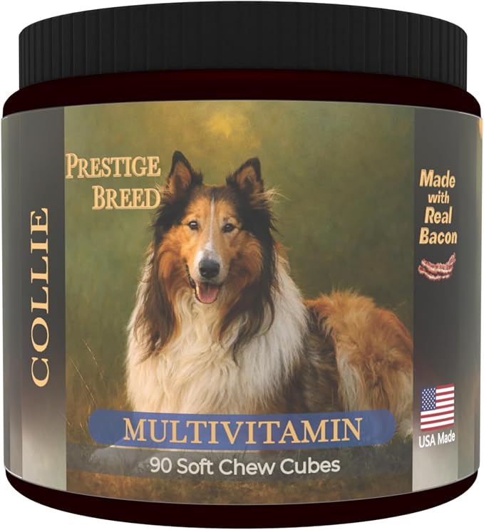 Collie