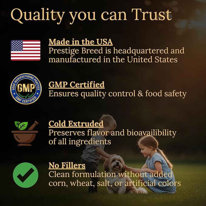 Lhasa Apso