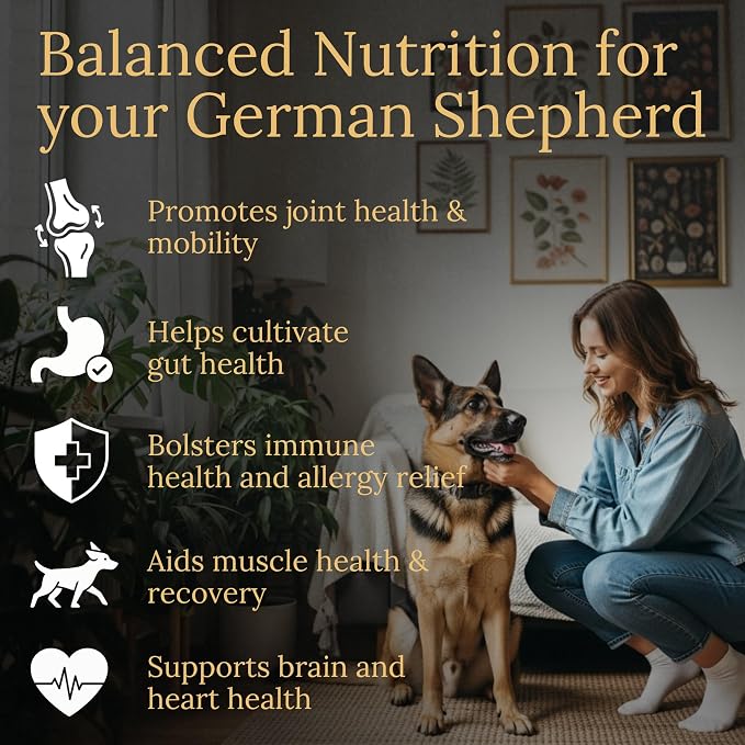 German Shepherd