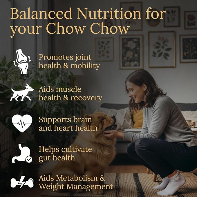 Chow Chow