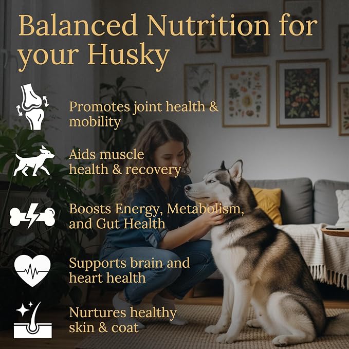 Husky