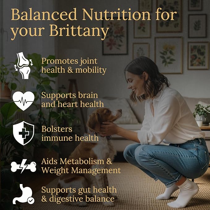 Brittany