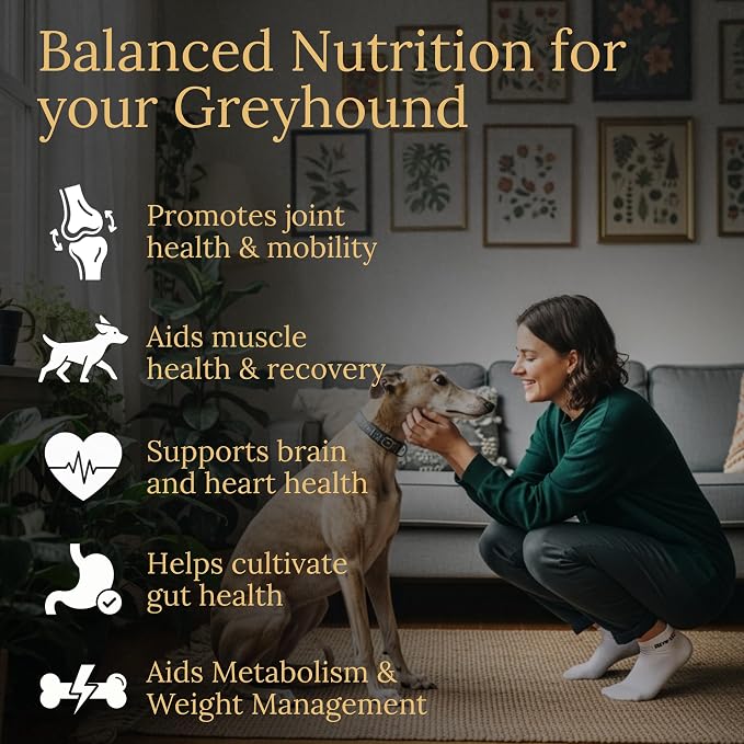 Greyhound